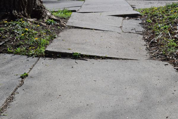 Sidewalk Raising in Issaquah